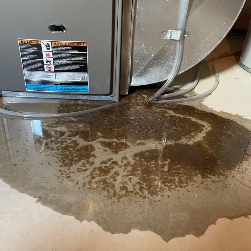 Appliance Leak Cleanup in Saint George, SC